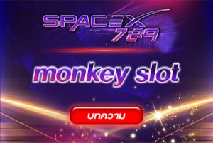 monkey-slot